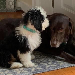 Meet your Posher, Melissa